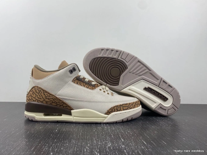 Rep Husky Jordan Palomino Air CT8532-102 3 0729
